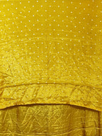 Jade Regal Opulent Elegance Saree