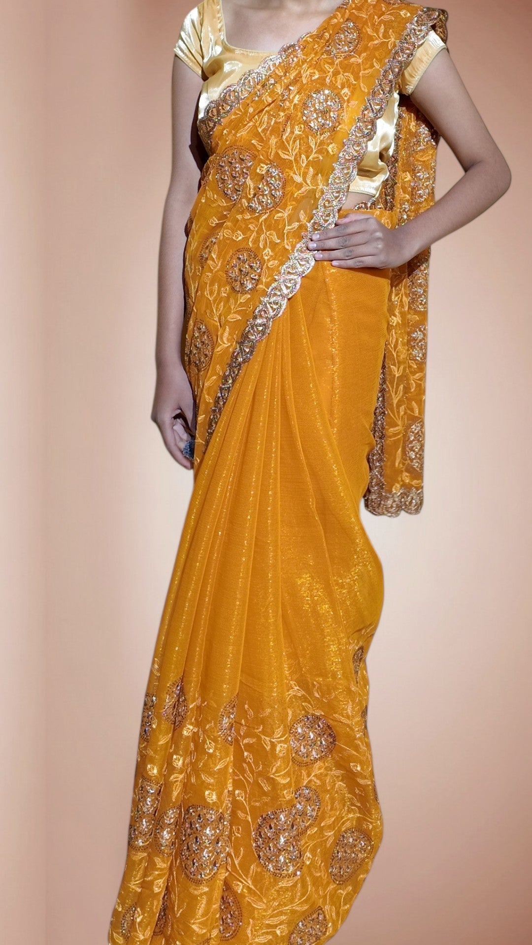 Saffron Regal Opulent Graceful Saree