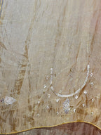 Champagne Regal Exquisite Heritage Saree