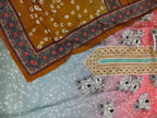 Blush Ethereal Heritage Charm Saree