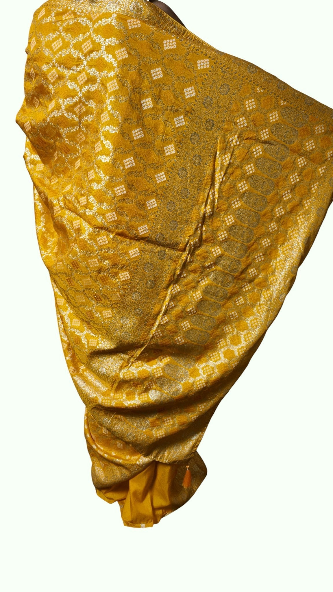 Gilded Regal Opulent Heritage Saree