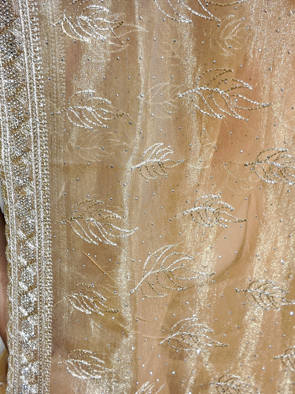 Champagne Radiant Exquisite Bridal Saree