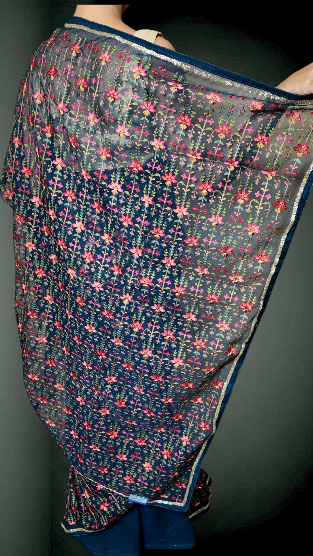 Sapphire Regal Timeless Elegance Saree