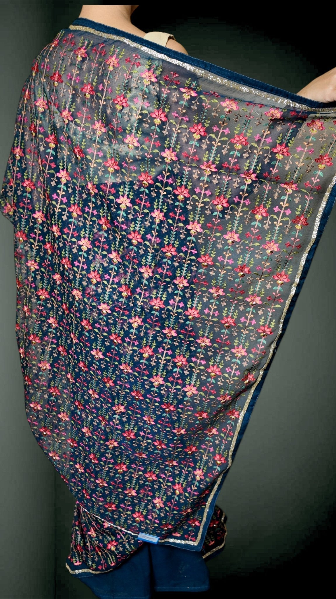 Sapphire Regal Timeless Elegance Saree