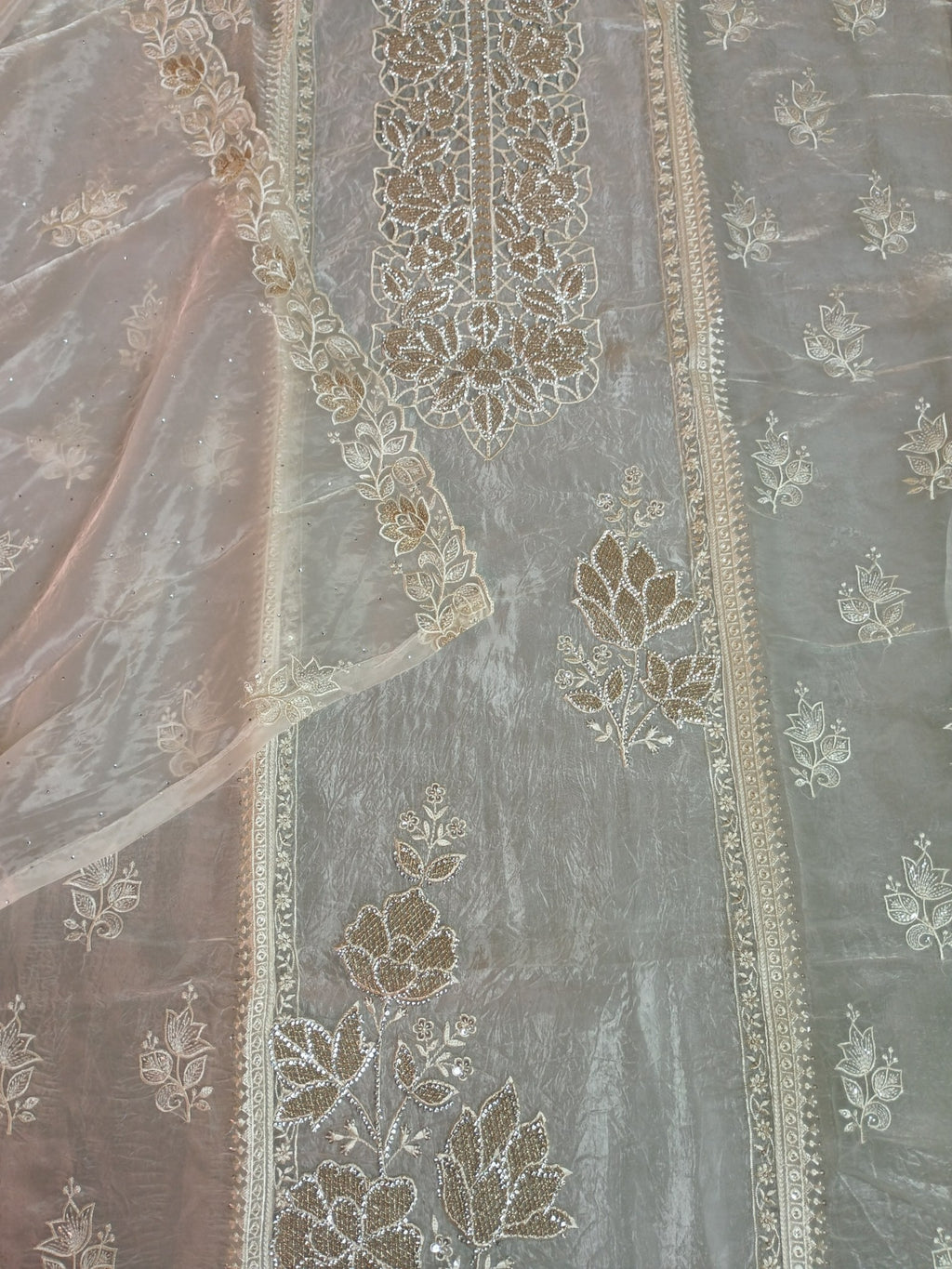 Champagne Radiant Majestic Heritage Saree