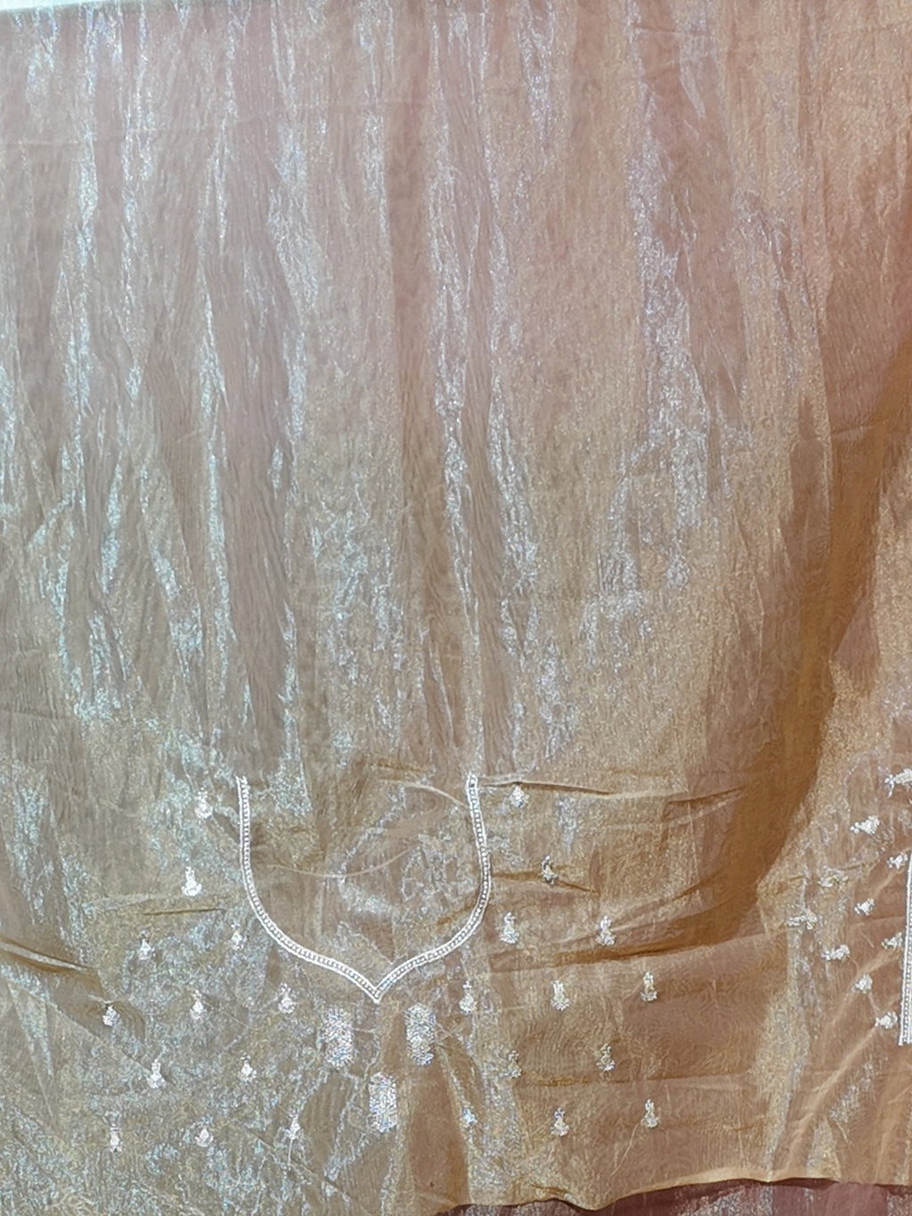 Champagne Radiant Exquisite Bridal Saree