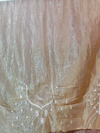 Champagne Radiant Exquisite Bridal Saree