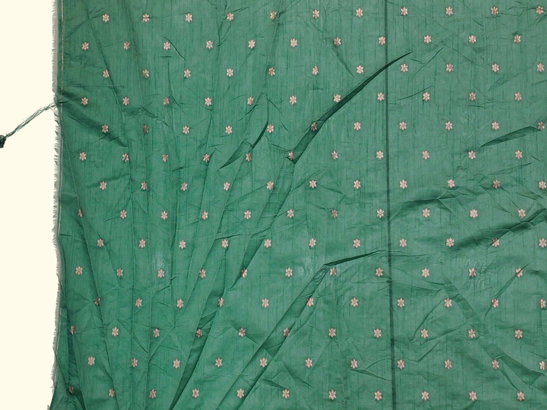 Barcode d0012512100 - Category 6_no_bg