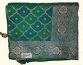Emerald Spiral: Luxurious Green Saree with Intricate Border", - Image 1_no_bg