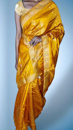 Golden Regal Opulent Heritage Saree
