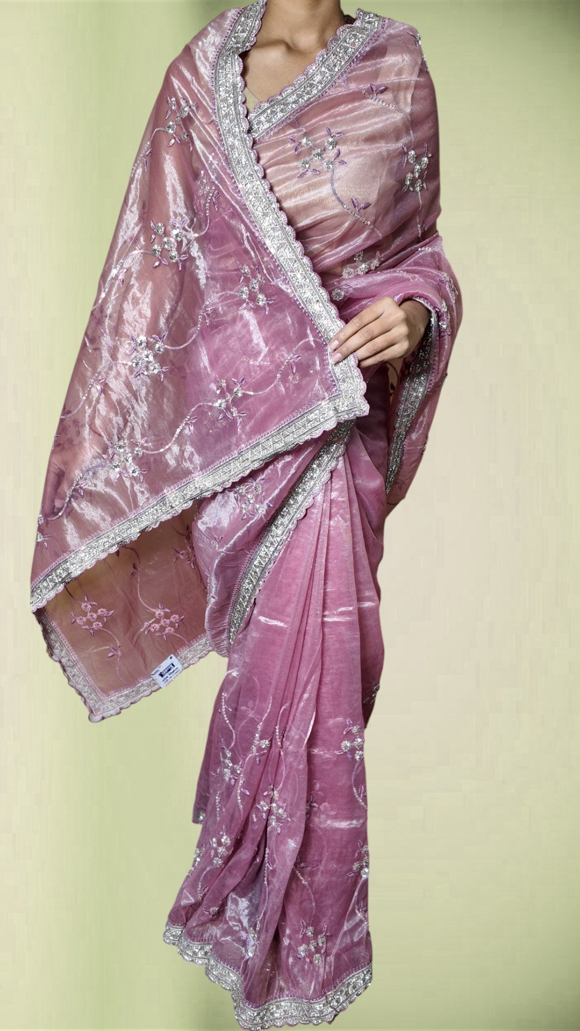 Blush Ethereal Regal Glamour Saree