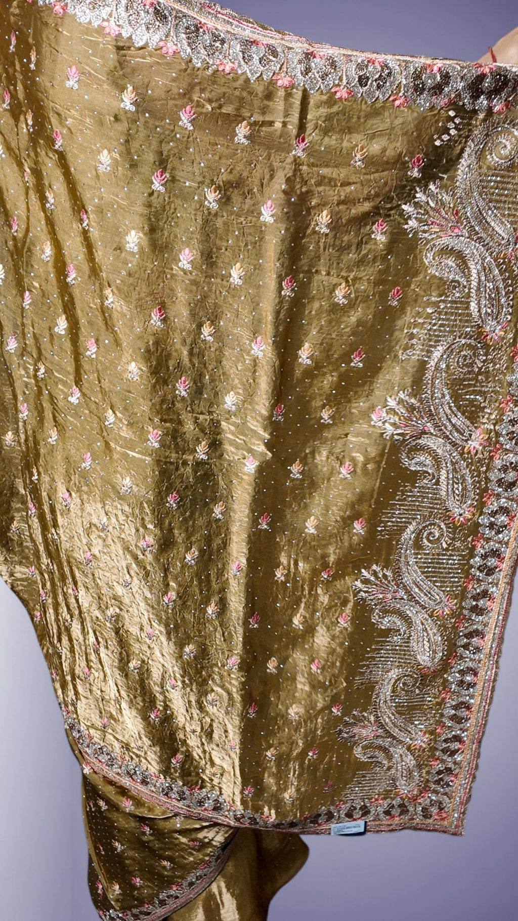 Champagne Regal Opulent Heritage Saree