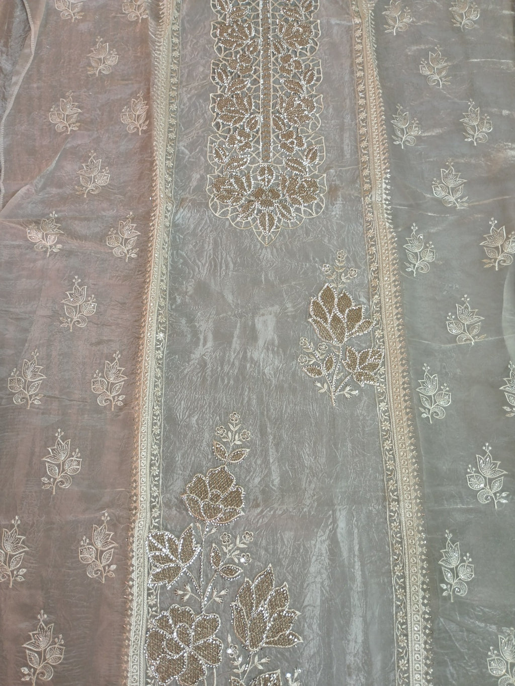 Champagne Radiant Majestic Heritage Saree