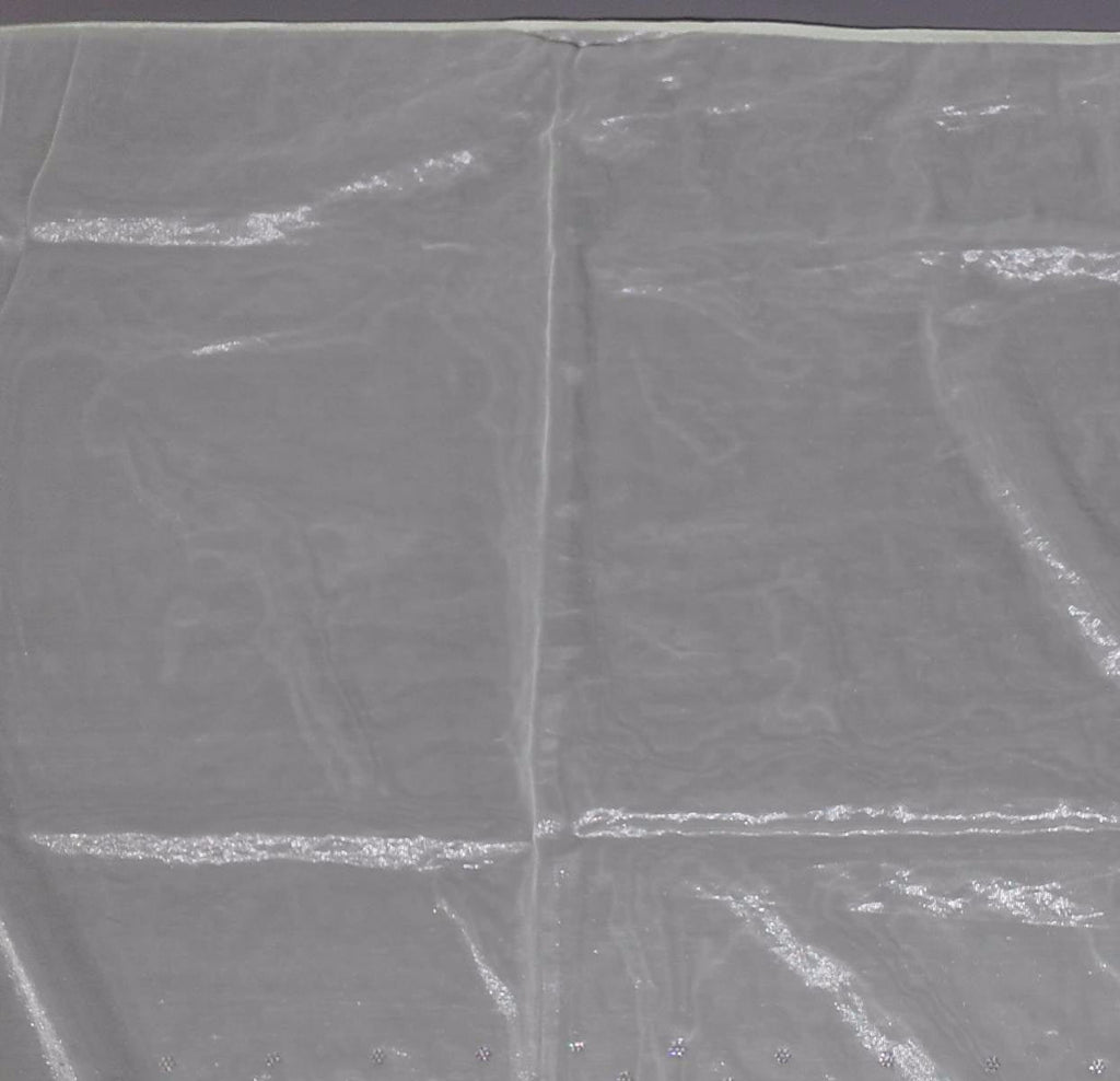 Mint Whisper: Sequined Embroidered Opulence Saree",