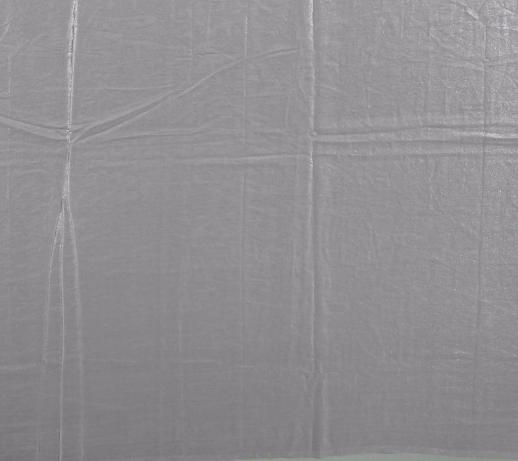 Graceful Glimmer: Lustrous Gray Embellished Saree",