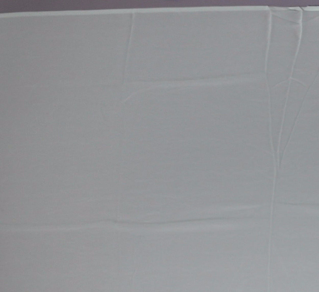 Mint Green Charm: Georgette Saree with Sequined Waves",