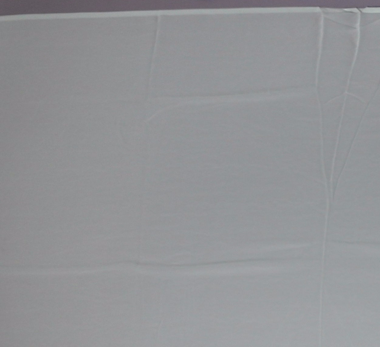 Mint Green Charm: Georgette Saree with Sequined Waves",